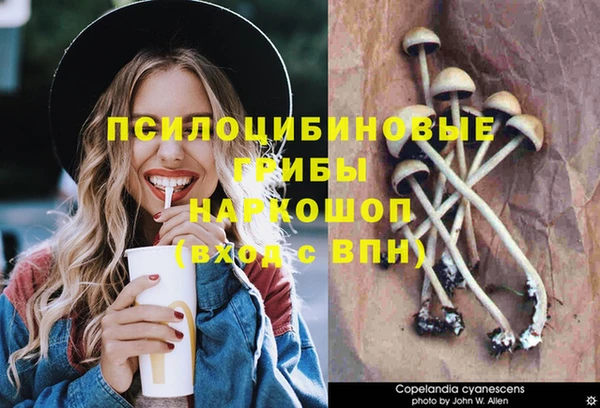 шишки Алексеевка