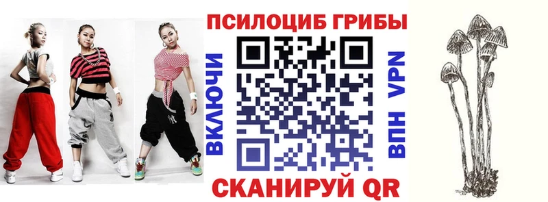 Псилоцибиновые грибы ЛСД  закладка  Медынь 